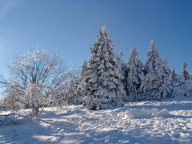 戈斯拉尔 泥炭屋 雪 - 上的免费照片