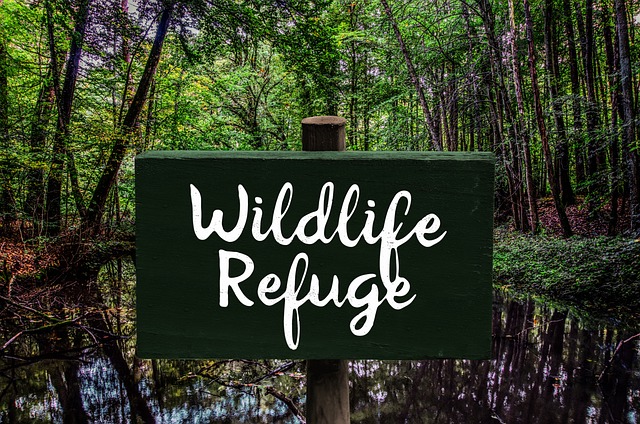 符号 自然保护区 动物福利 - 上的免费照片