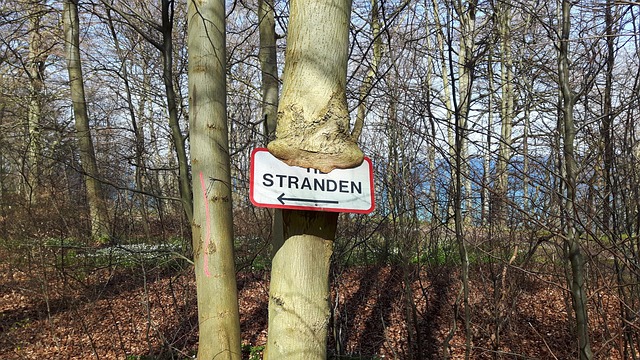 符号 摩恩 - 上的免费照片