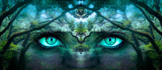幻想 眼睛 森林 - 上的免费照片