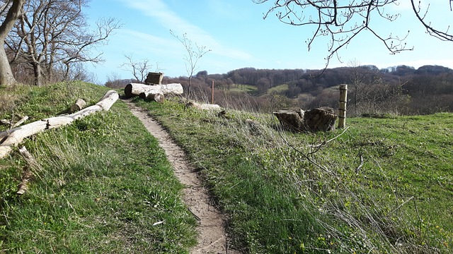 摩恩 小路 - 上的免费照片