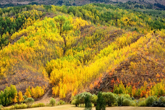 自然 看法 Ka?kars - 上的免费照片