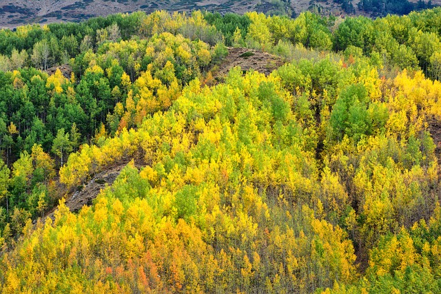 自然 看法 Ka?kars - 上的免费照片