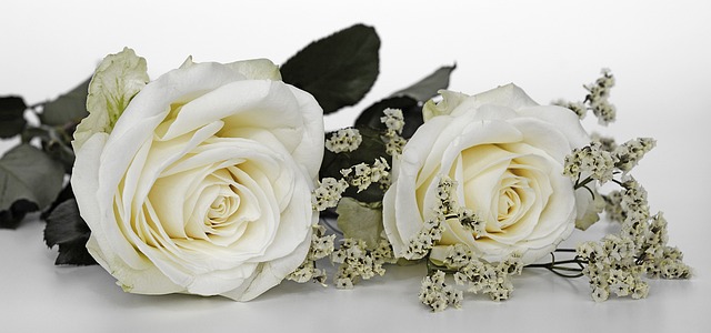 玫瑰 婚礼 玫瑰花瓣 - 上的免费照片