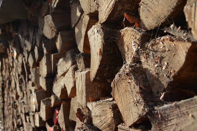 贝林佐纳 瑞士 - 上的免费照片