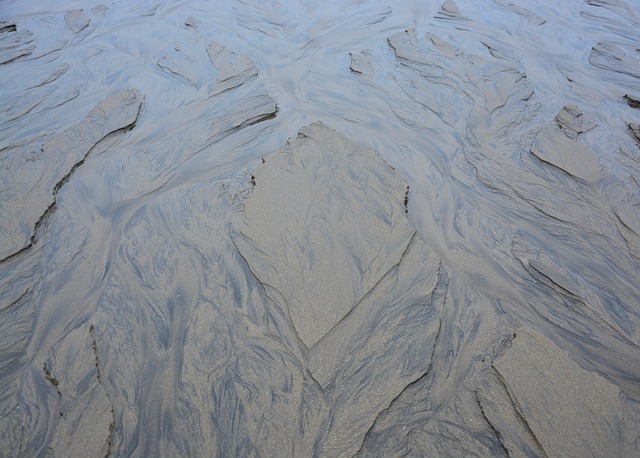 海滩 犁沟 海水 - 上的免费照片