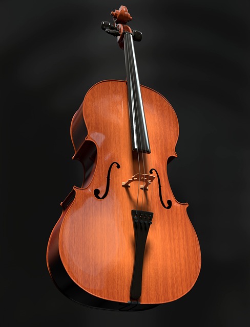 大提琴 字符串 弦乐器 - 上的免费照片