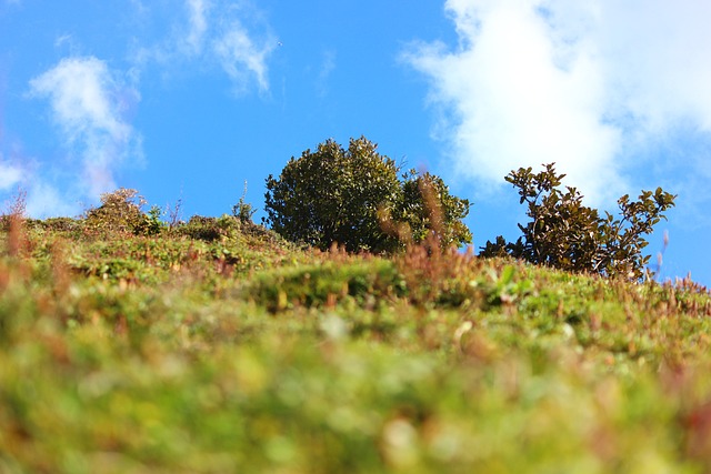 哈 顶峰 寺庙 - 上的免费照片
