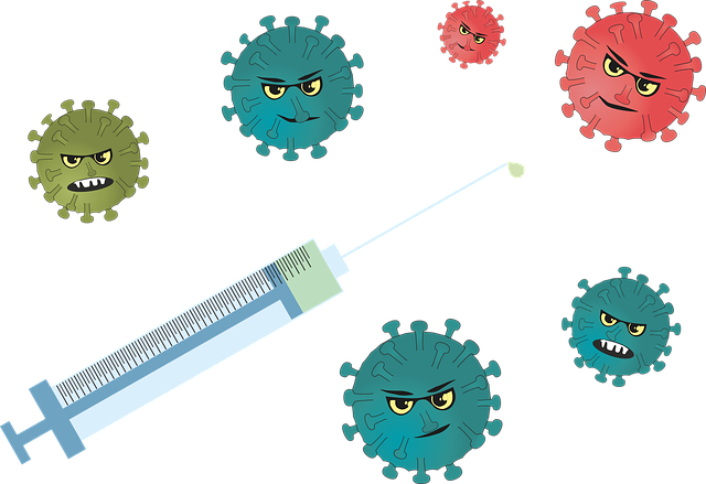 流感 疾病 病毒 - 免费矢量图形