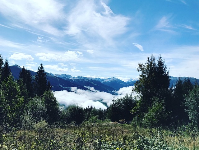 蒂罗尔 多雾路段 奥地利 - 上的免费照片