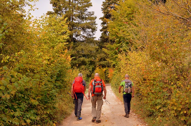 远足 走 秋天 - 上的免费照片