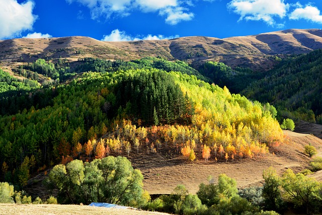 自然 看法 Ka?kars - 上的免费照片