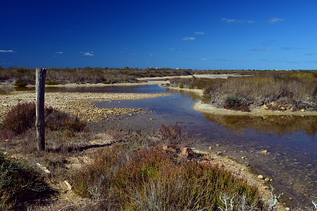 看过 景观 自然 - 上的免费照片