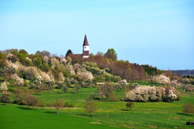 教堂的基希贝格 Berg 阿尔萨斯 - 上的免费照片