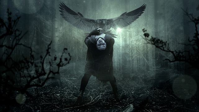 幻想 森林 可怕的 - 上的免费照片