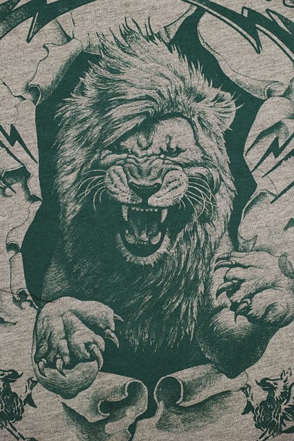 图案 图形 毛衣 - 上的免费照片