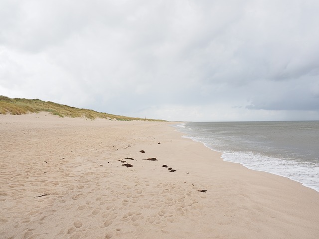 海滩 海 沙滩 - 上的免费照片