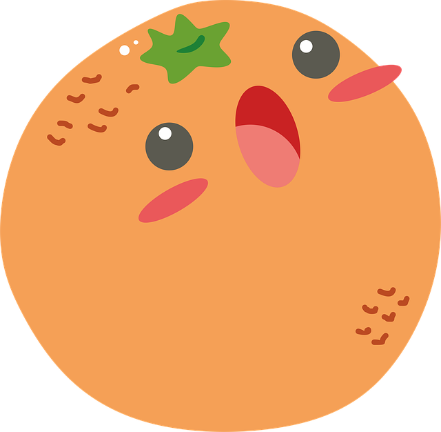 橙色的 水果 可爱 - 上的免费图片