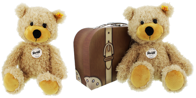 泰迪熊 豪华的 孤立 - 上的免费照片