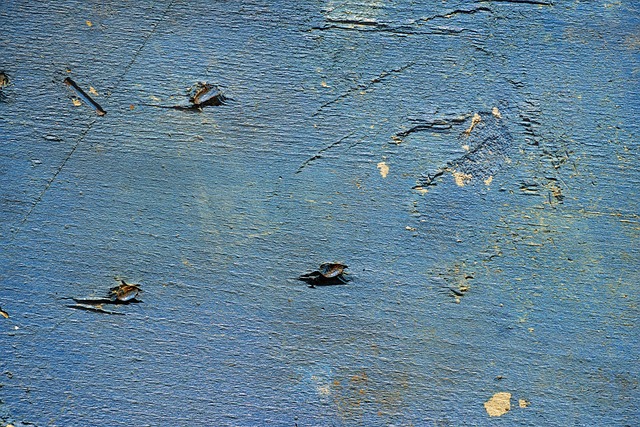 蓝色的 墙 木材纤维板 - 上的免费照片