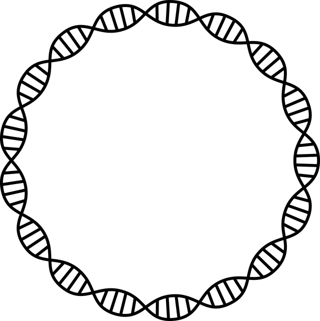 脱氧核糖核酸 健康 分子 - 免费矢量图形