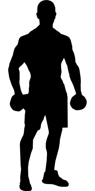 轮廓 运动的 身体 - 免费矢量图形