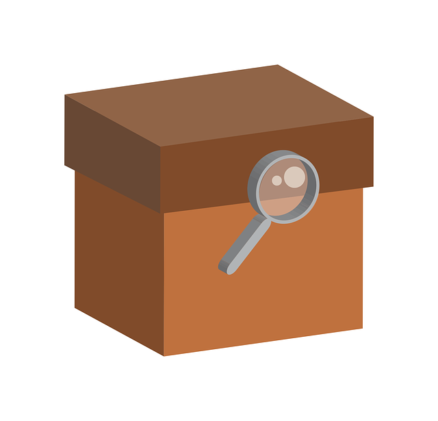 盒子 证据 商业 - 免费矢量图形