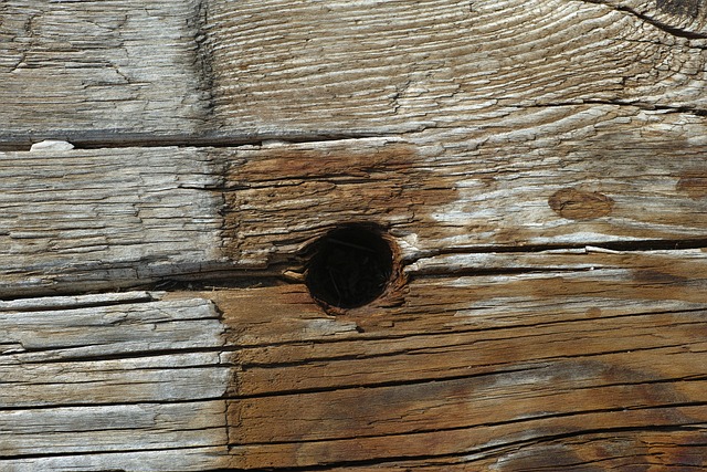 木头 木材纤维板 - 上的免费照片