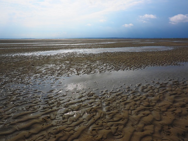 浅 瓦 瓦登海 - 上的免费照片