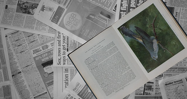 书 鸟 布谷鸟 - 上的免费照片