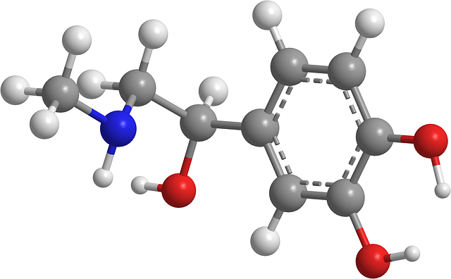 肾上腺素 有机化学 分子 - 上的免费图片