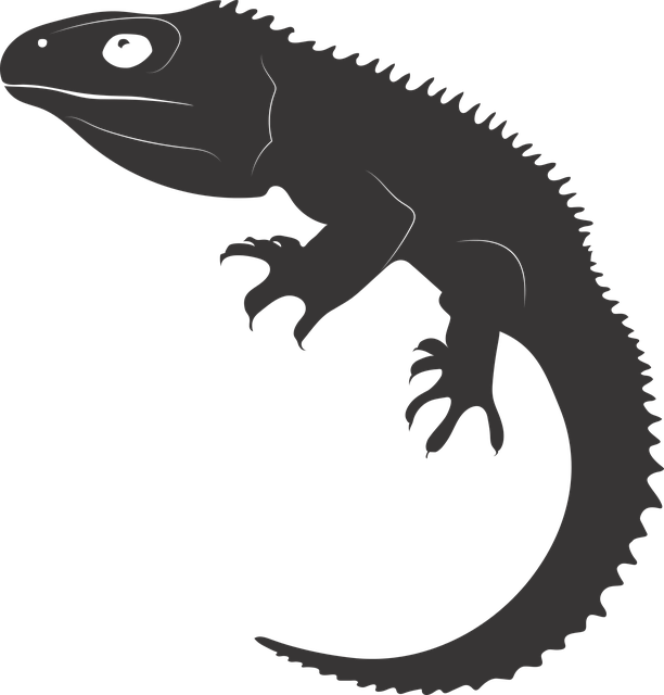 蜥蜴 爬虫 古老的爬行动物 - 免费矢量图形