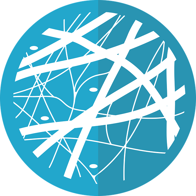 结缔组织 胶原 - 免费矢量图形