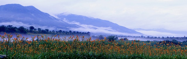 锥花 景观 智异山 - 上的免费照片