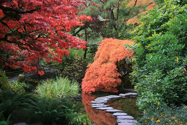 日本花园 小路 树木 - 上的免费照片