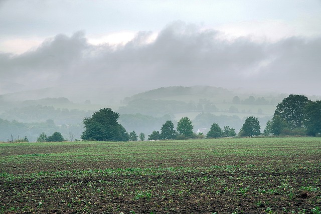 Hale 山 草地 - 上的免费照片