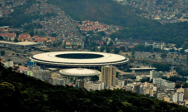 巴西的 Rio De Janeiro 马六甲只是 - 上的免费照片