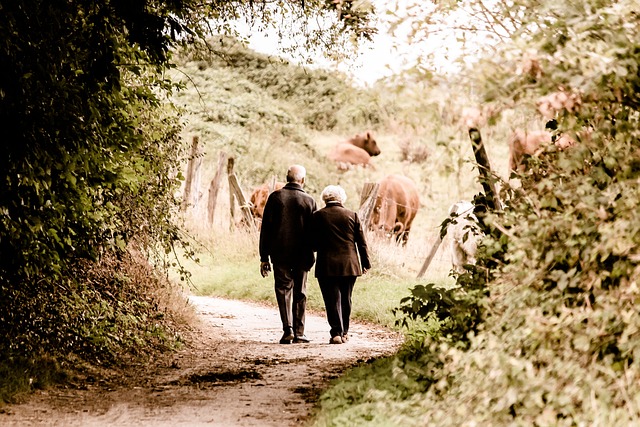 老年 夫妻 步行 - 上的免费照片