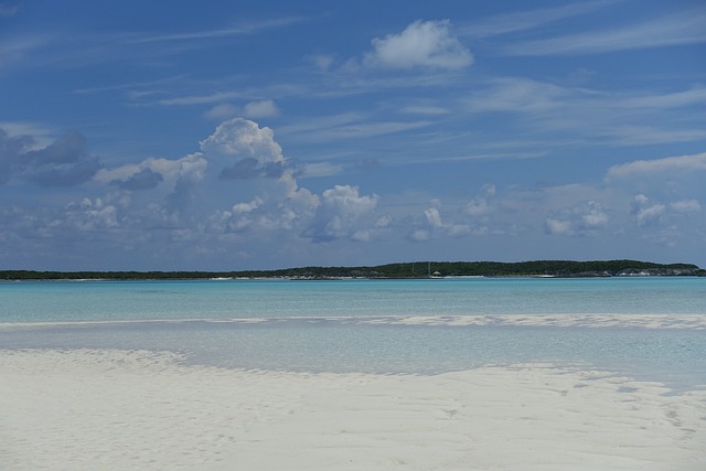 巴哈马 沙滩 海 - 上的免费照片
