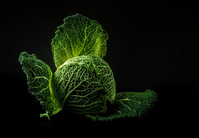 蔬菜 卷心菜 绿色 - 上的免费照片