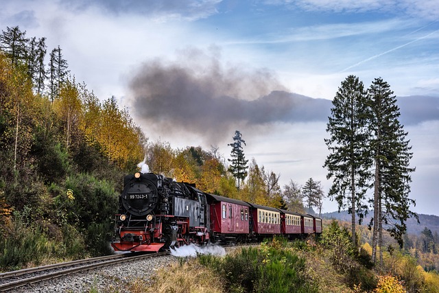 蒸汽机车 在树脂 铁路 - 上的免费照片