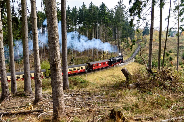 蒸汽机车 在树脂 铁路 - 上的免费照片