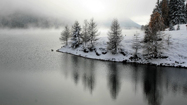 落叶松 冬季 景观 - 上的免费照片
