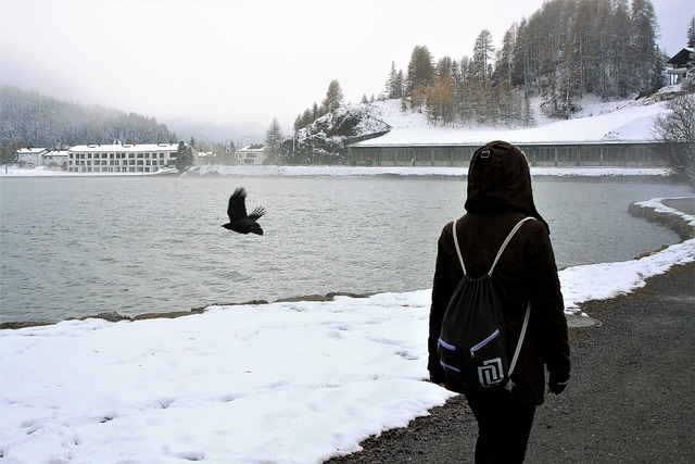 冬季 走 冻结 - 上的免费照片