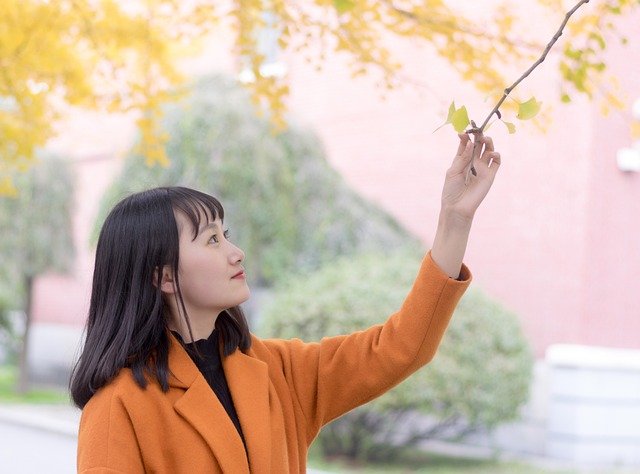 银杏 女生 沈阳农业大学 - 上的免费照片