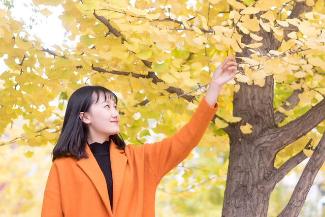 银杏 女生 沈阳农业大学 - 上的免费照片