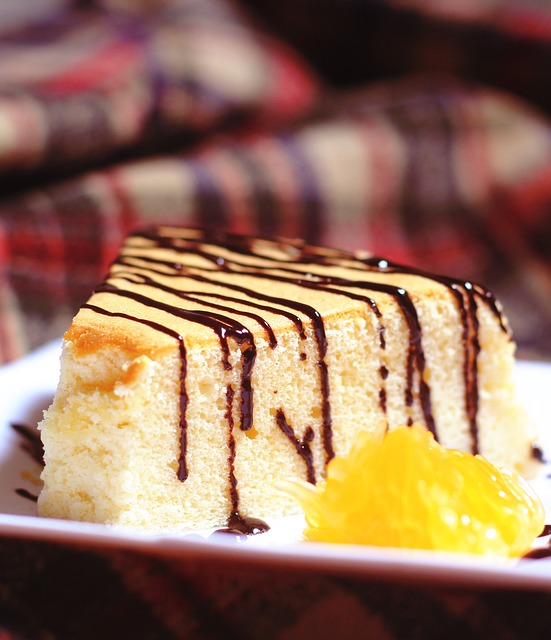 自制 雪纺 - 上的免费照片