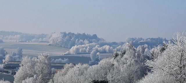 冬天 雪 寒冷的 - 上的免费照片