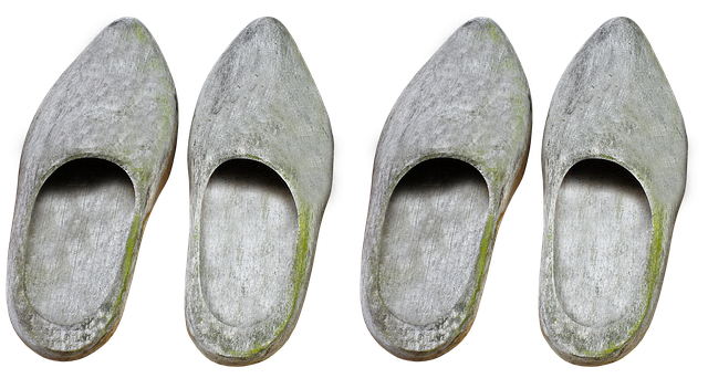 木鞋 鞋 花园鞋 - 上的免费照片