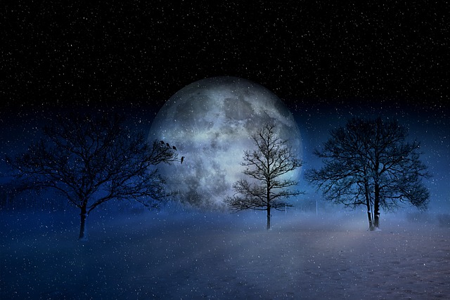 冬天 冬季景观 月亮 - 上的免费照片